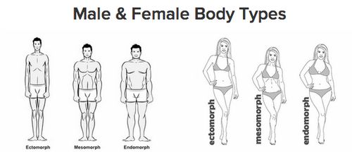 endomorf tipul corpului pierdere în greutate feminină)