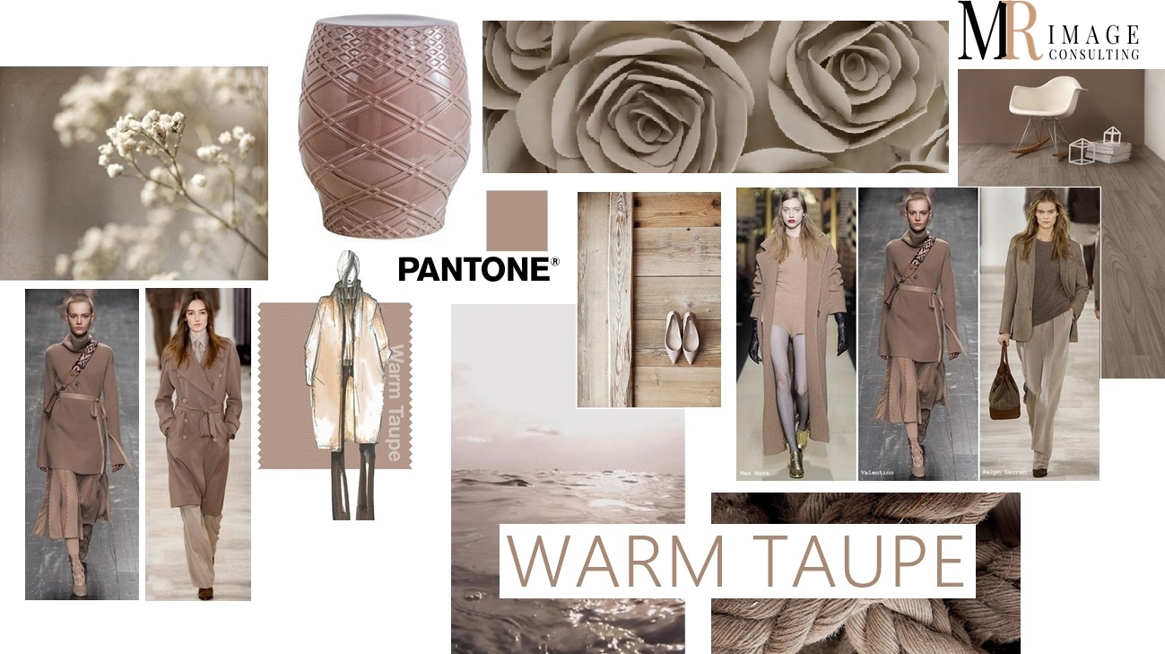 WARM TAUPE CULORI TOAMNA IARNA 2016