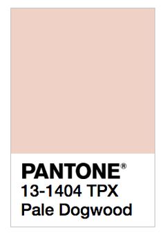 PALE DOGWOOD SS17 PANTONE