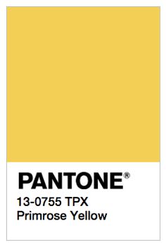 PANTONE PRIMROSE YELLOW