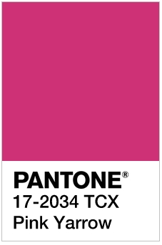 PINK YARROE SS17 PANTONE